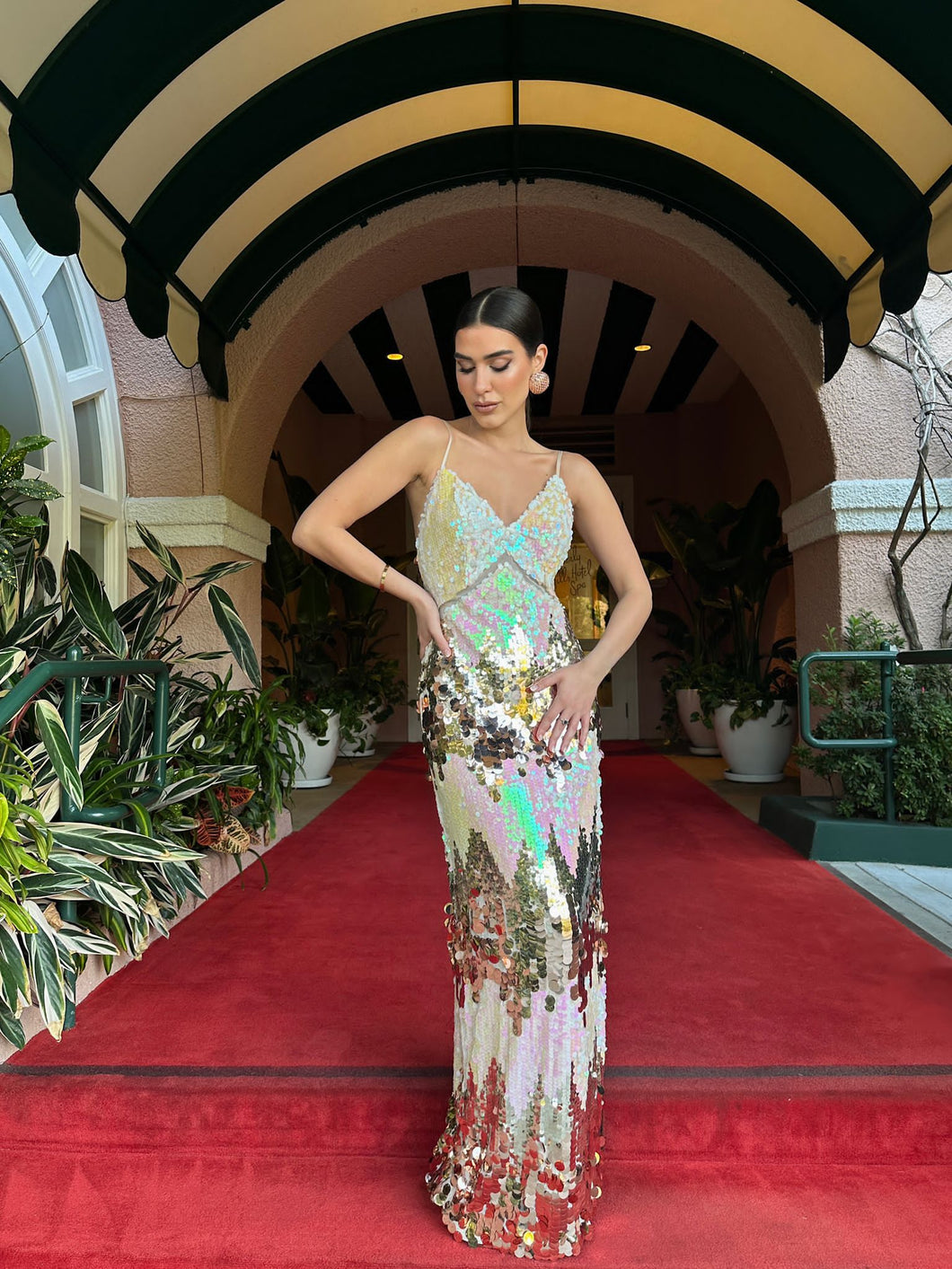 Andlee dress