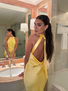Belvedere Dress