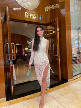 Load image into Gallery viewer, Schnabel dress
