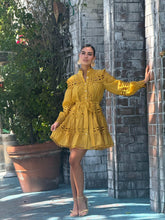 Load image into Gallery viewer, Fortune mini dress
