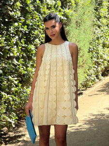Cabrillo mini dress