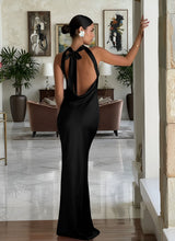 Load image into Gallery viewer, Belvedere Dress
