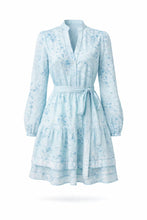 Load image into Gallery viewer, Lev mini dress
