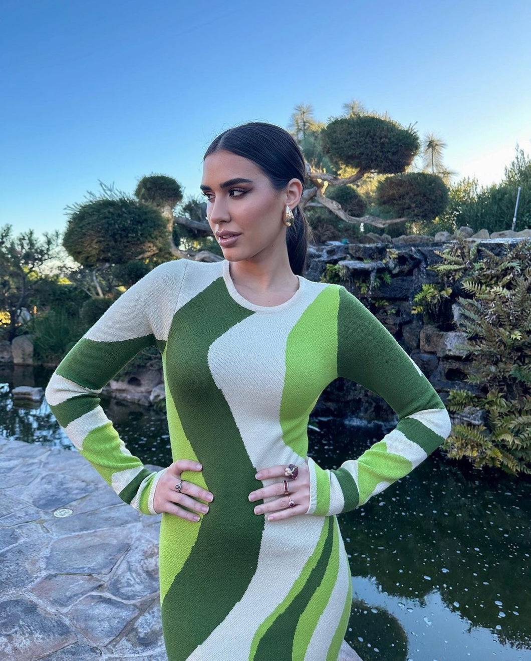 Anica dress