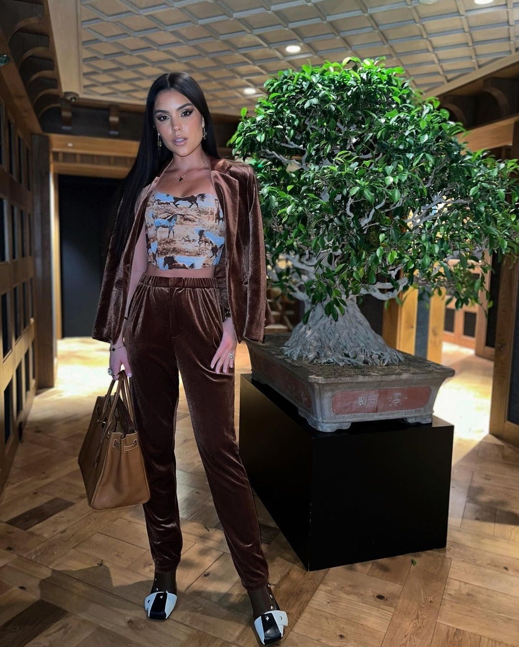 Bossy Velvet Suit