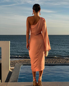 Spotlight Stealing Dress