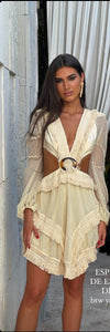 Amazing Beige  Mini Dress