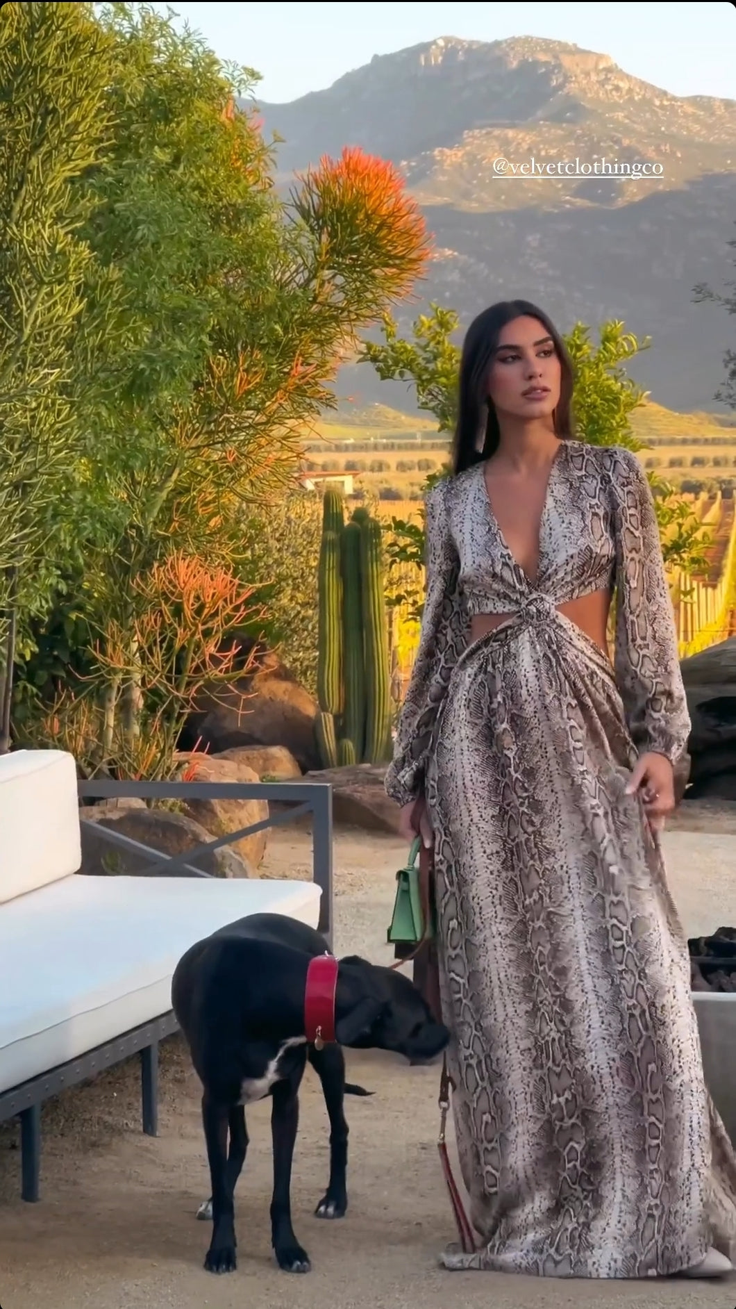 Saraí Dress